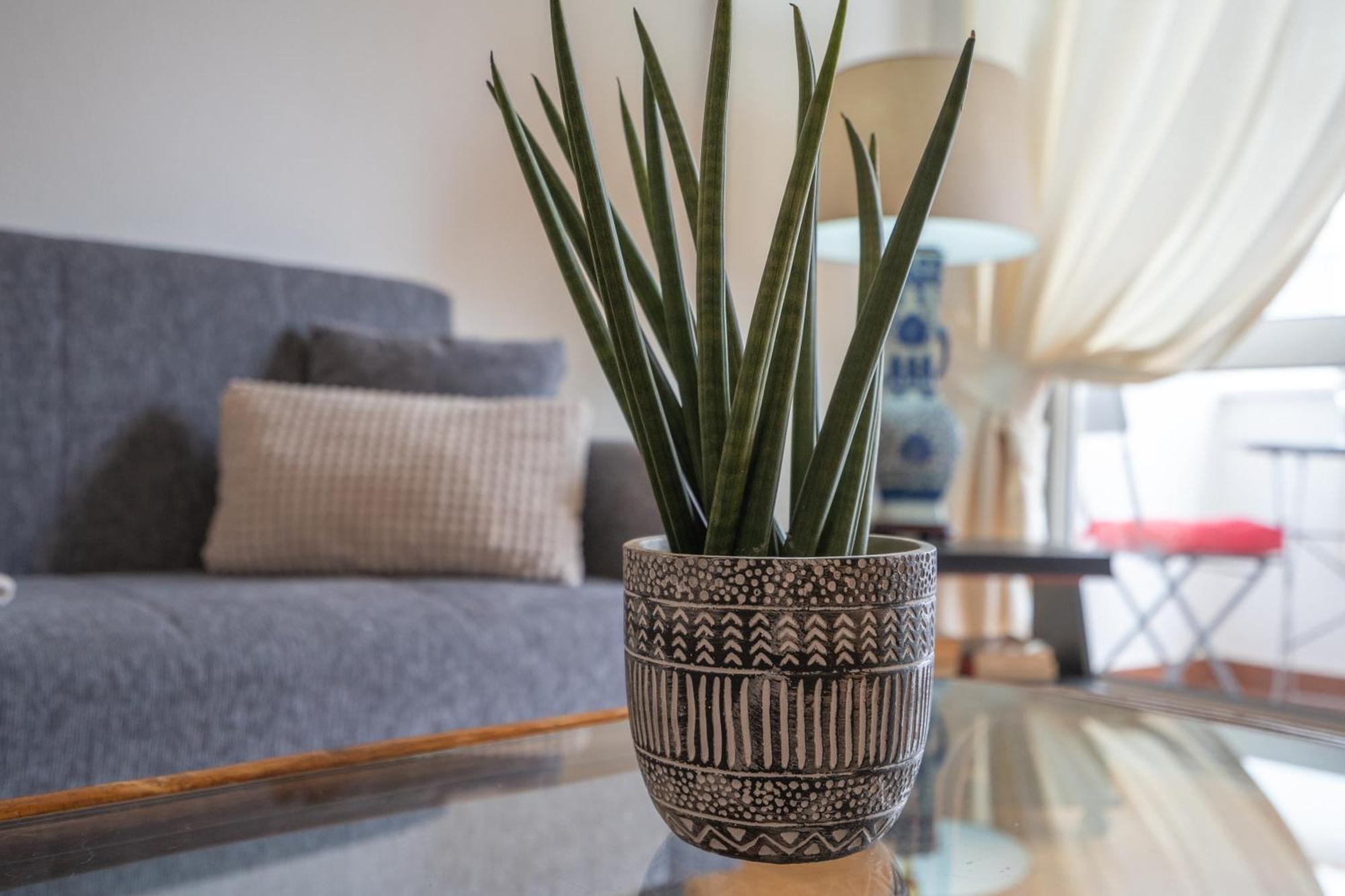 Apartamento Escadinhas Lagos Esterno foto